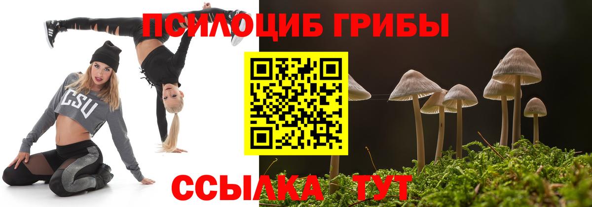 купить наркотик  Вход с VPN  Томск  Галлюциногенные грибы Cubensis 